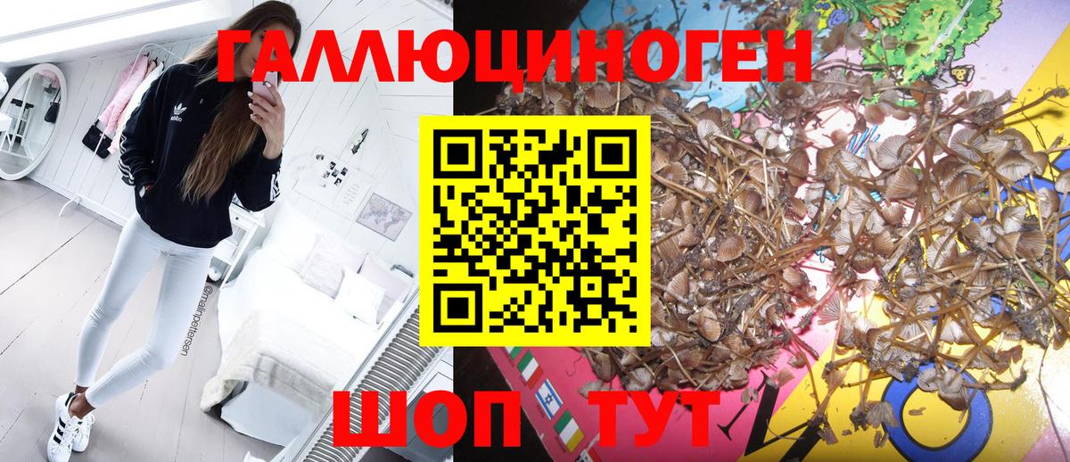 Псилоцибиновые грибы GOLDEN TEACHER  Вход с VPN  Губкинский 